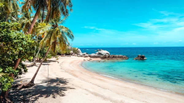 Haïti - 7 jours - Illimité